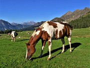 Ritorno sul Monte Valletto (2371 m) con Avaro (2080 m), Monte di Sopra (2269 m) dai Piani dell’Avaro il 12 settembre 2022 - FOTOGALLERY